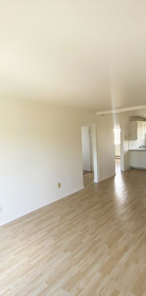 Appt 4 1/2 Avec 5 électros Inclus - Photo 1