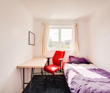 1 bedroom house to rent - Photo 4