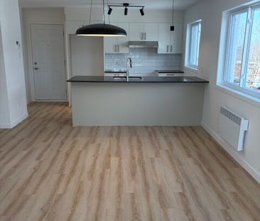 548 Rue Saint-Michel, Sherbrooke, (Vacant) QC J1E 2L1 - Photo 5