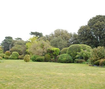 Parkstone Road, Poole - Photo 5
