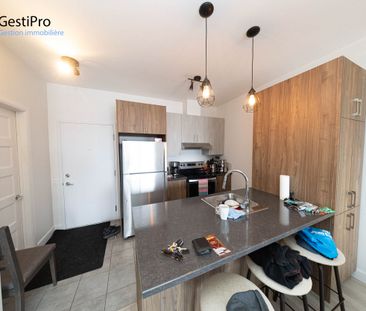 20 Charest Ouest – Le Kaméléon - Photo 6