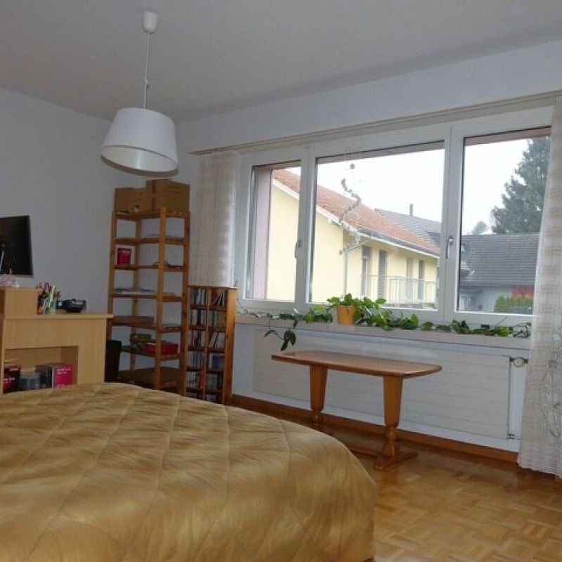 LIVING GENEROUSLY IN THE HEART OF JONSCHWIL - Photo 1