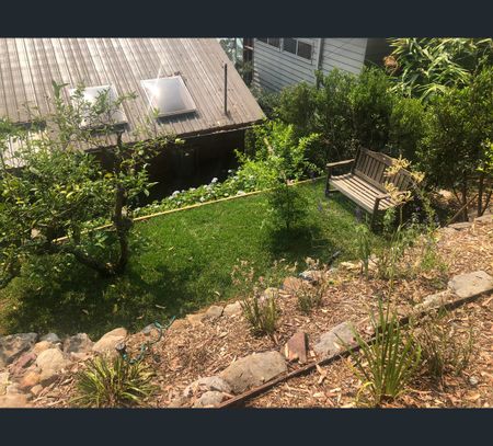 134 Riverview Avenue, Dangar Island, NSW 2083 - Photo 5