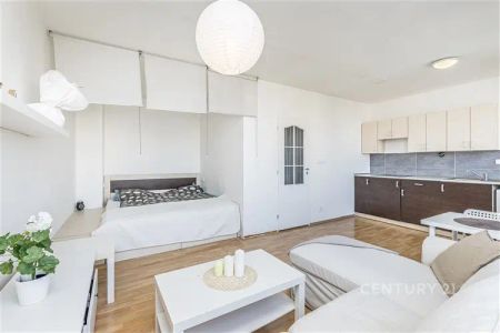 Pronájem bytu 1+kk, 31 m - Fotografie 3