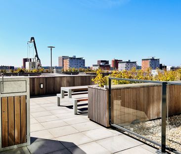 Laakweg, 2521 SC, Den Haag - Foto 6