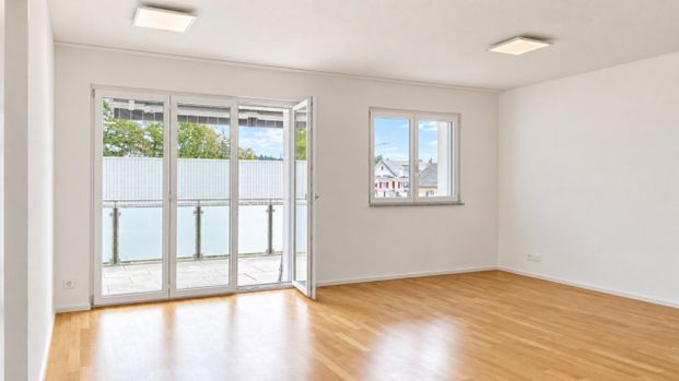 Modern apartment with large terrace - Photo 1