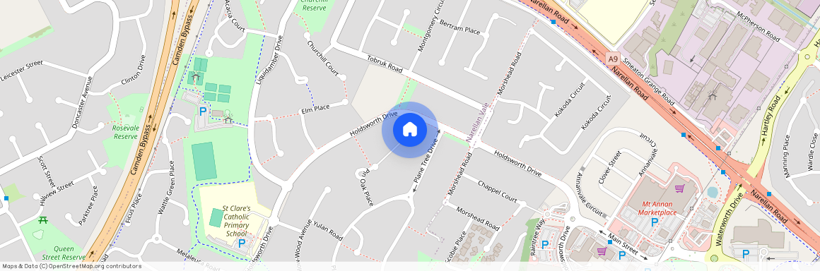 20 Pin Oak Place, NSW 2567, Narellan Vale