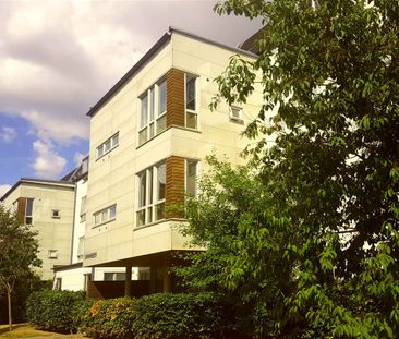 Sadelmakarebyn, Bunkeflostrand - Foto 6