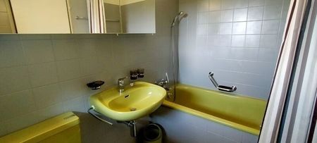 MAISON DE 4 PIÈCES À WÄDENSWIL (ZH), MEUBLÉE, TEMPORAIRE - Photo 4