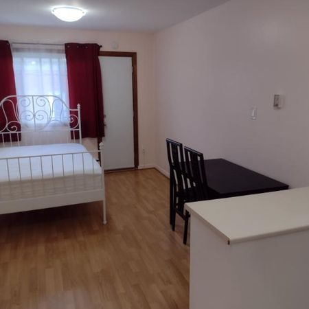 1 1/2 - Montréal (Le Plateau Mont-Royal) - 1 250 $/mois - Photo 4