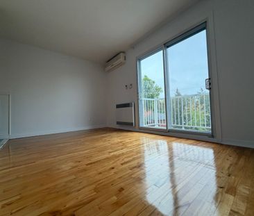 10245 Rue D'Iberville, H2B 2T7, H2B 2T7, Montréal - Photo 3