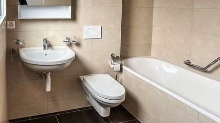 FOR RENT 3.5 ROOM APARTMENT IN VOUVRY - Foto 3