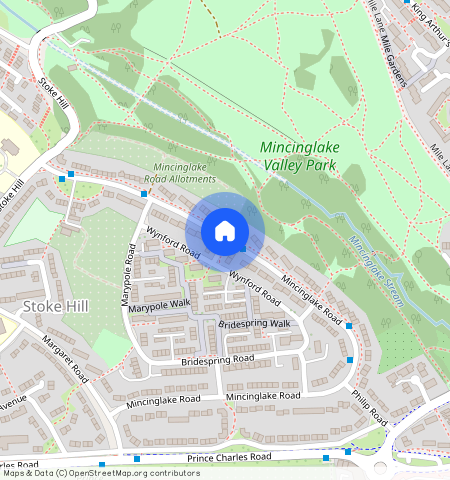 Mincinglake Road, Exeter, EX4