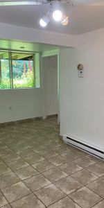 GRAND 3 1/2 CAMPAGNE ENTRE MAGOG-EASTMAN - CABLE-INTERNET INCLUS - Photo 4