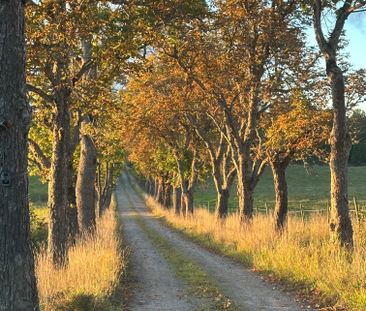 Mjölnarbostaden, Mälby säteri, Flen - Photo 6