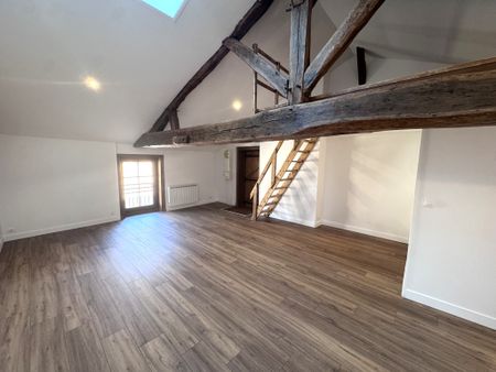 Appartement T1Bis – Châtillon sur Chalaronne - Photo 5