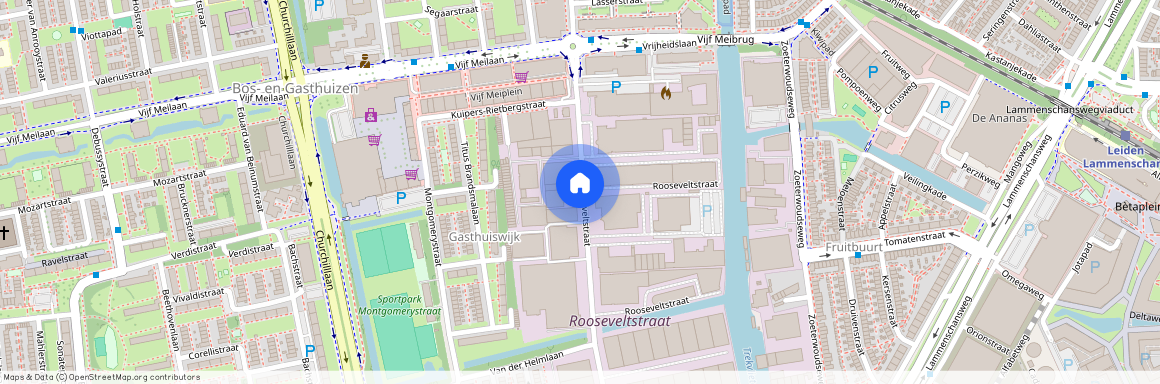 Rooseveltstraat, Leiden, Zuid-Holland, Nederland, 2321 BL