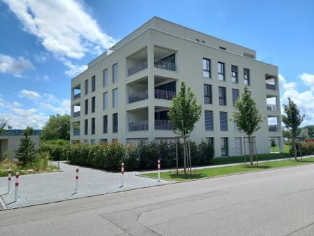 Summer is surely coming next year - Photo 2