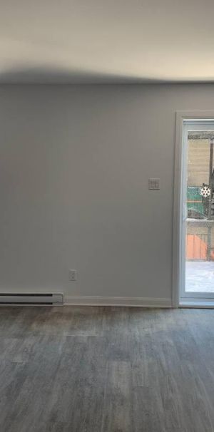 MAGNIFIQUES 51/2 - LIBRE IMMÉDIATEMENT, JUIN ET JUILLET 2026 - Photo 1