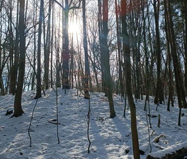 2 Zimmer Wohnung - Photo 1