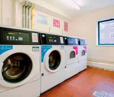 Standard Shared - Photo 3