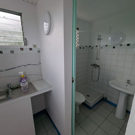 Apartment - Photo 4