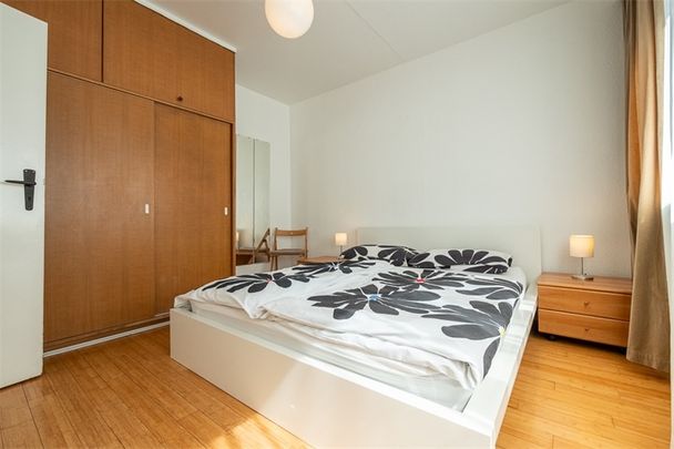 Immobilien - Photo 1