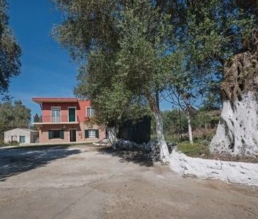 Μονοκατοικία για ενοικίαση Αχίλλειο (Κέρκυρα) - Φωτογραφία 4