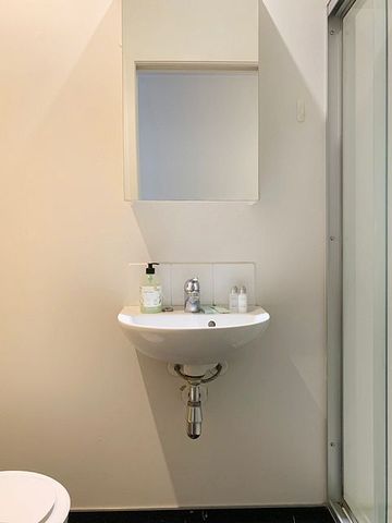 Central Auckland 1BR Fully Furnished - Photo 3