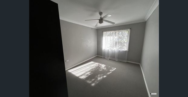 Renovated One Bedroom Unit in North Albury - Photo 1