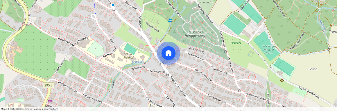 Segantinistrasse 206, 8049, Zürich