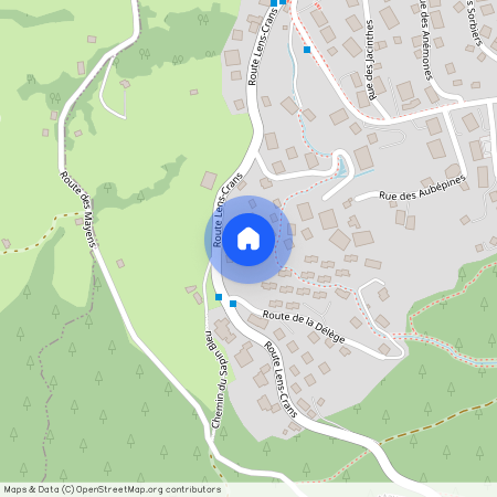3963, Aminona, Route Lens-Crans, 103