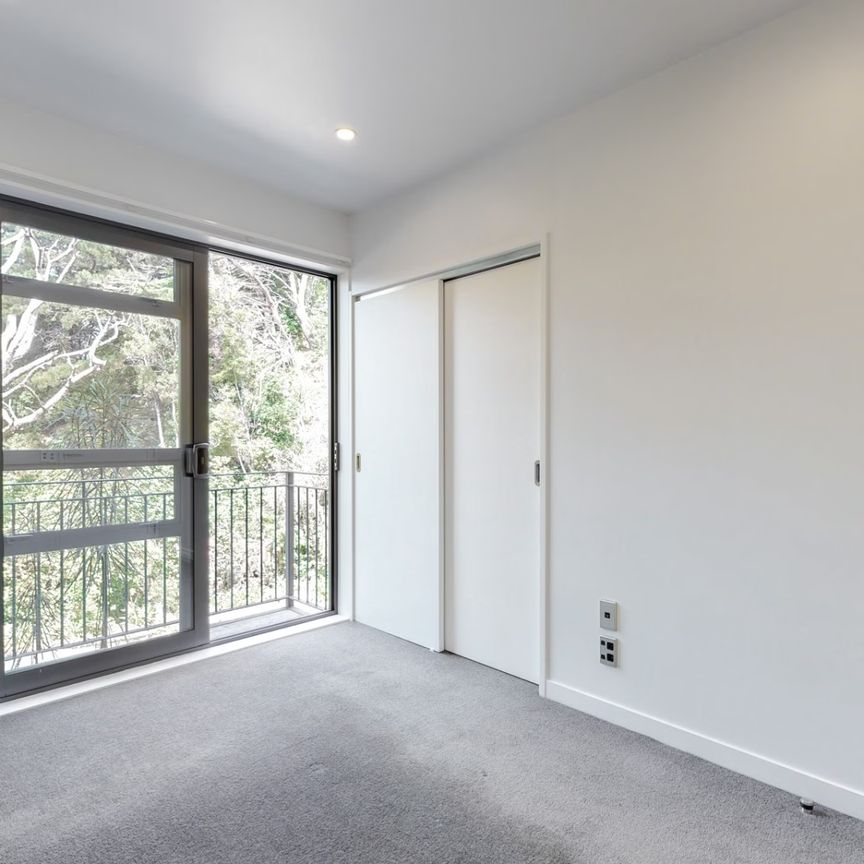 15 San Sebastian Road, Kelburn - Photo 1