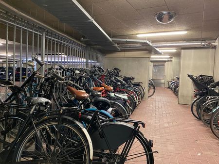 Appartement te huur: Carolina MacGillavrylaan 304 1098 XB Amsterdam - Foto 3