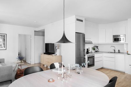 Nina Einhorns Gata, Stockholm - Photo 5