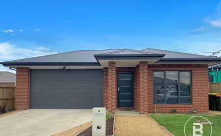 3 Dante Crescent, Bonshaw - Photo 5