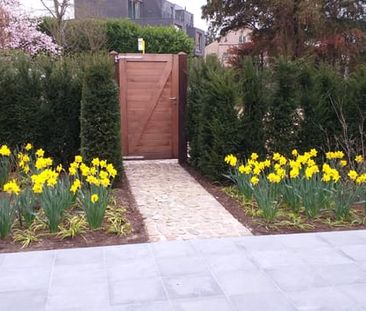 Huis te huur - Foto 6