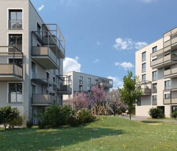 2.5 Zimmer, 66 m², 1. Stock - Foto 5