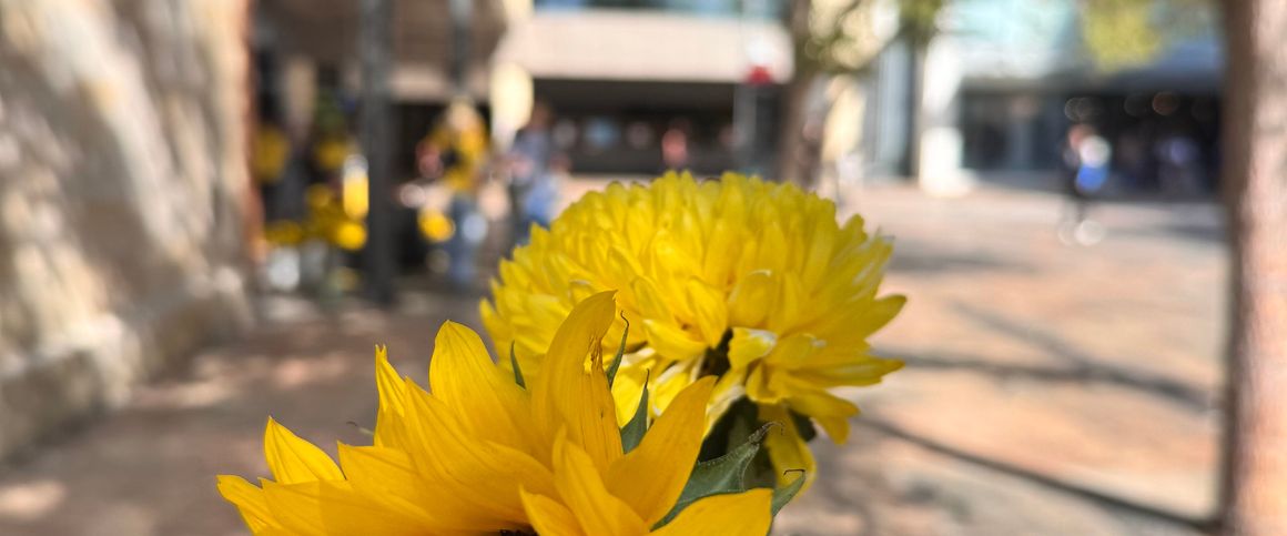 Victoria Park - Photo 1