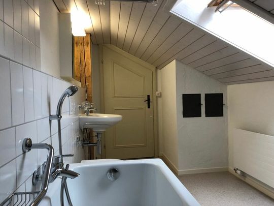 Elegant life in the villa of a former factory owner - Foto 1