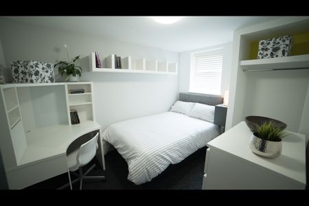 6 Bed Terraced House, Empress Road, L7 - Photo 3