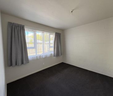 Tidy Flat in Hamilton East - Photo 6