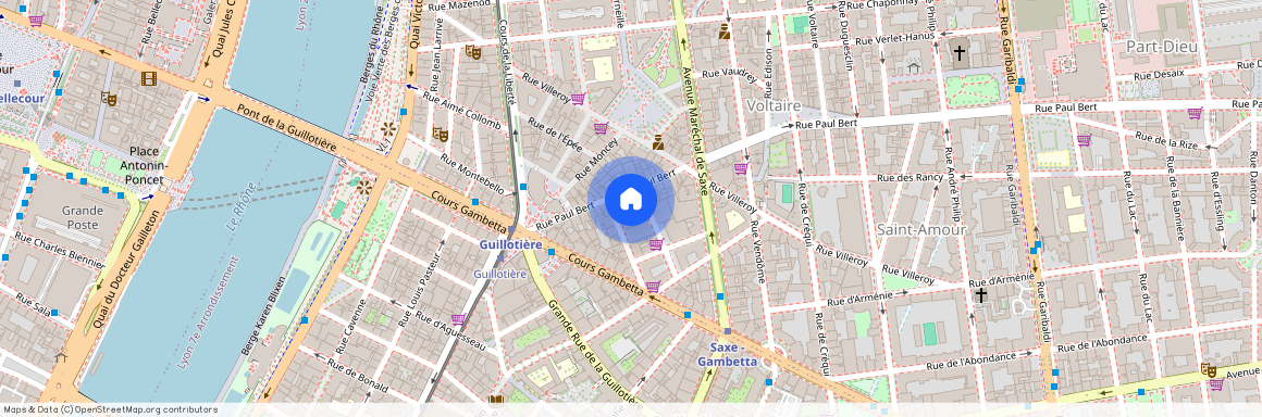 18 rue Paul Bert, LYON, 69003