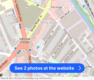 Lottie Road Selly Oak - Photo 1