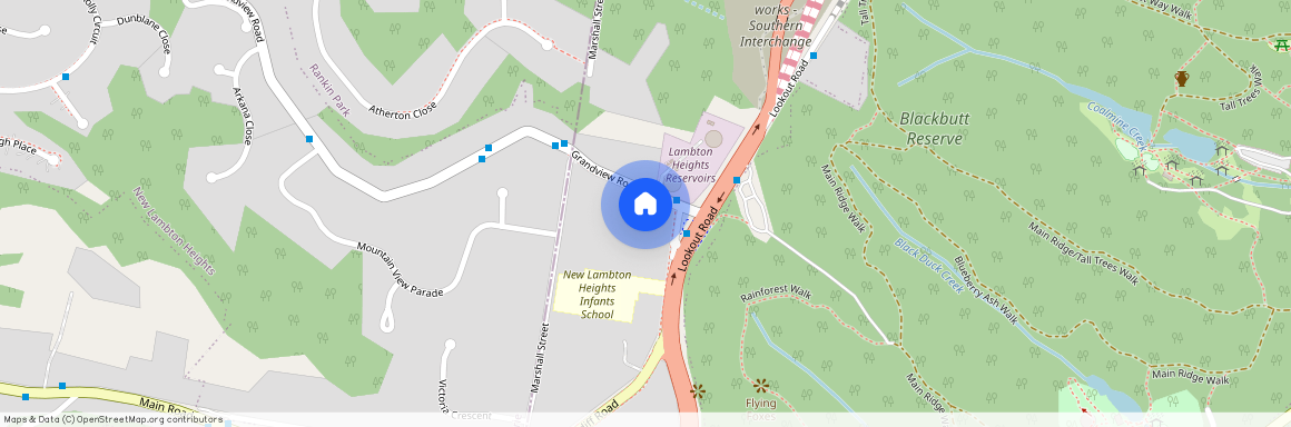 3 Grandview Road, NSW 2305, New Lambton Heights