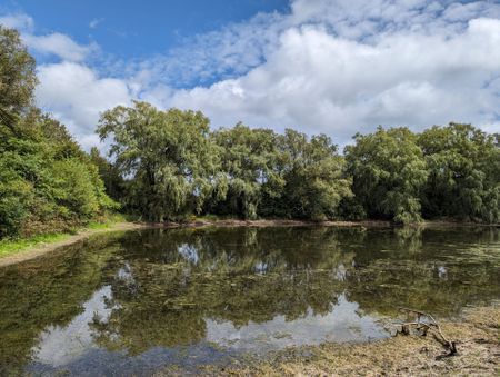 For Lease - 17268 Warden Avenue, Whitchurch-Stouffville, Ontario - Photo 3