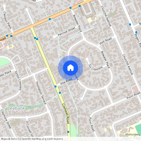 29 Buller Crescent, Manurewa, Manukau City