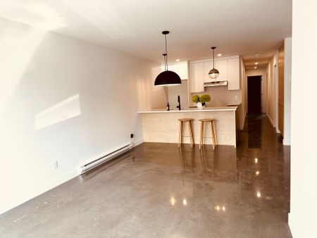 Appartement - 513 Rue St-Henri - Photo 4