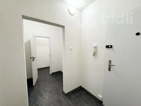 Nabízíme nově zrekonstruovaný byt 2+kk k pronájmu, Děčín - Фото 2