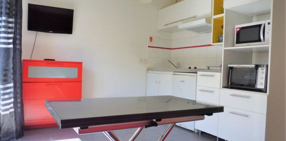 Location Appartement 1 pièce 20m² - Photo 2